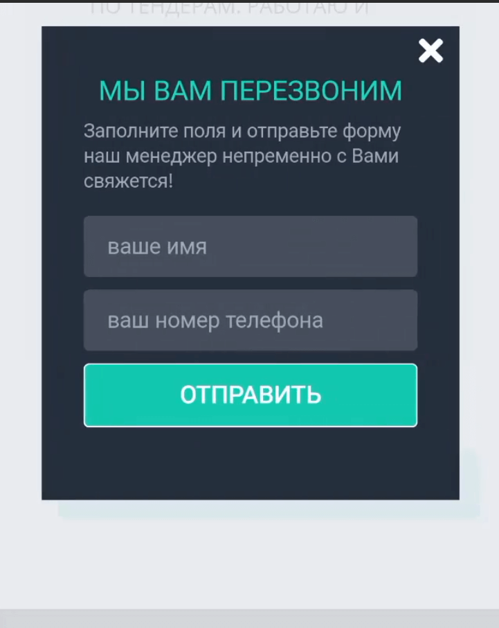 Сайт онлайн-курса «Заработок на тендерах» – ViaTender.kz — разработка под ключ — Скриншот 4